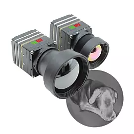  Different Model 19*20 mm IP67 Shutterless Infrared Thermal Camera Sm567-3
            