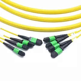  Czvz 12 Core Singlemode MPO Female Optical Fiber Cable, 1m, Fiber MPO Patch Cord for Data Center Solution
            